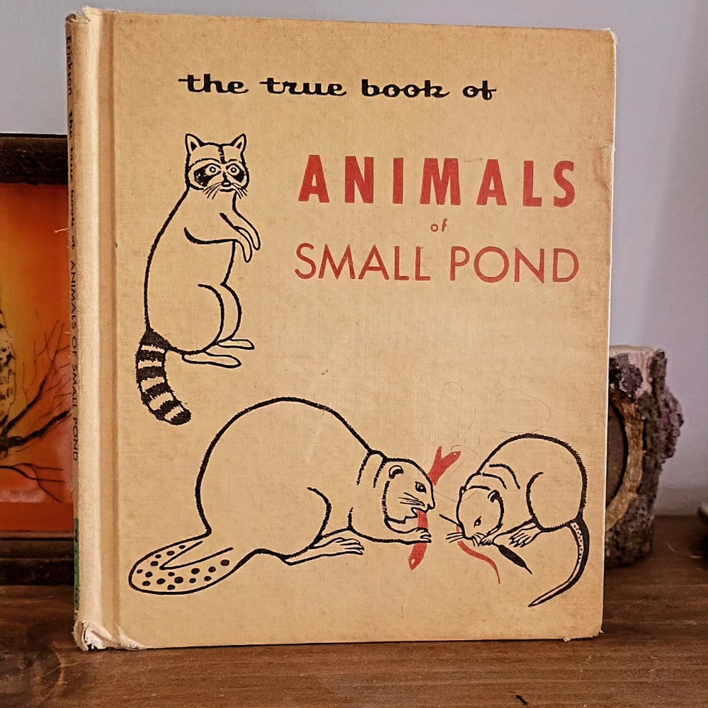 Vintage Childrens Nature Book